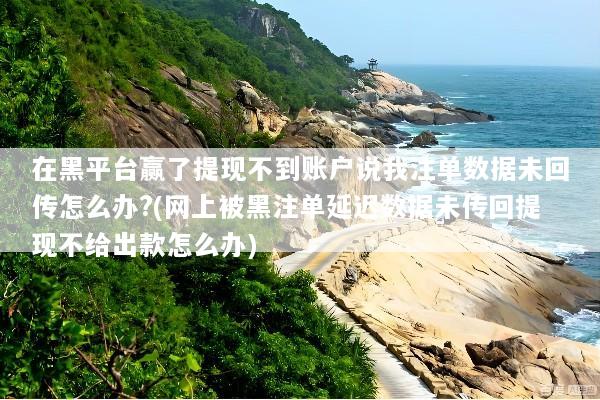 文章配图