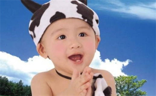 戴姓男孩子取名